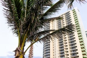 Was Hotel Damage from Hurricane Insurer Says No 