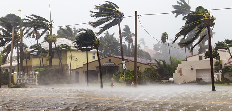 Hurricane Damage