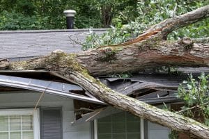 PROPERTY DAMAGE APPRAISALS IN TENNESSEE