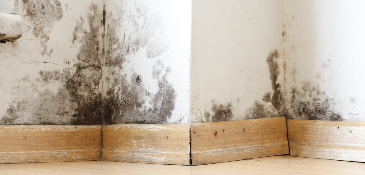 memphis water and mold lawyers