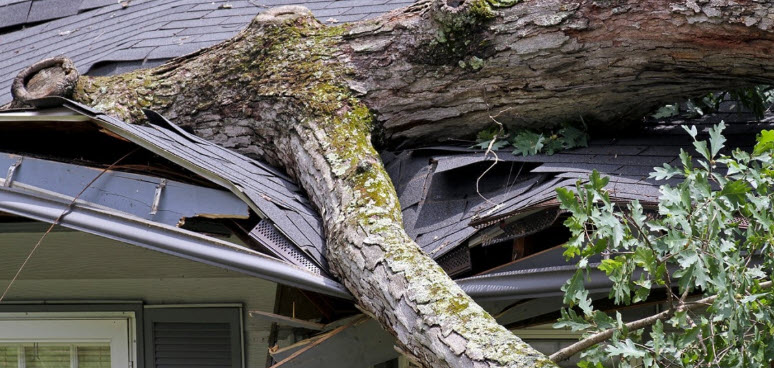 Storm Damage Claim Lawyers jackson MS