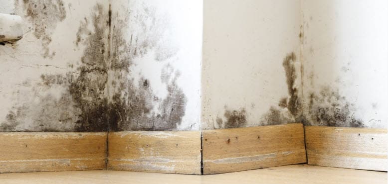 Water and Mold Damage Lawyers jackson ms